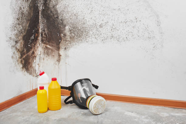 Best Mold Testing  in Verdigris, OK