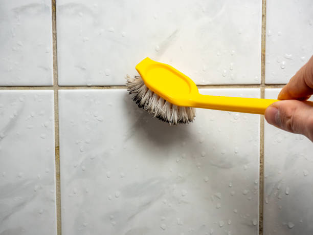 Best Certified Mold Removal  in Verdigris, OK