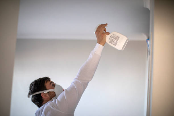 Best Local Mold Removal Service  in Verdigris, OK