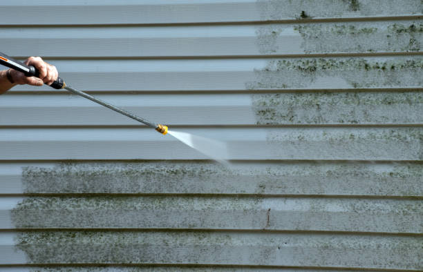 Best Local Mold Removal Service  in Verdigris, OK