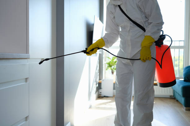 Best Mold Removal Company Near Me  in Verdigris, OK