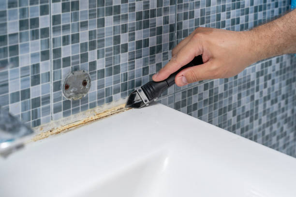 Best Mold Testing and Removal  in Verdigris, OK