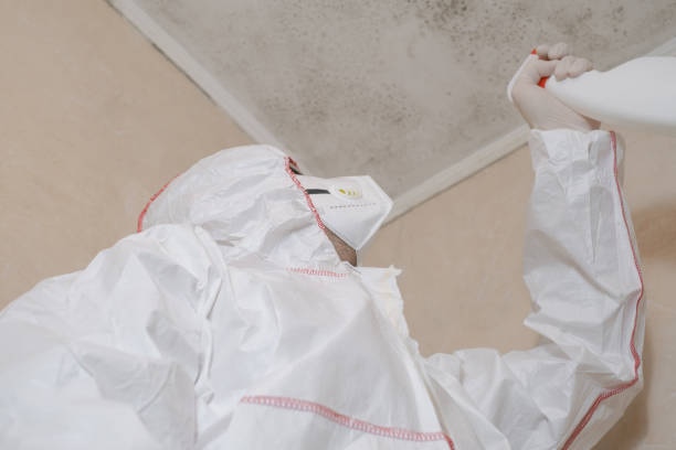 Best Black Mold Removal  in Verdigris, OK