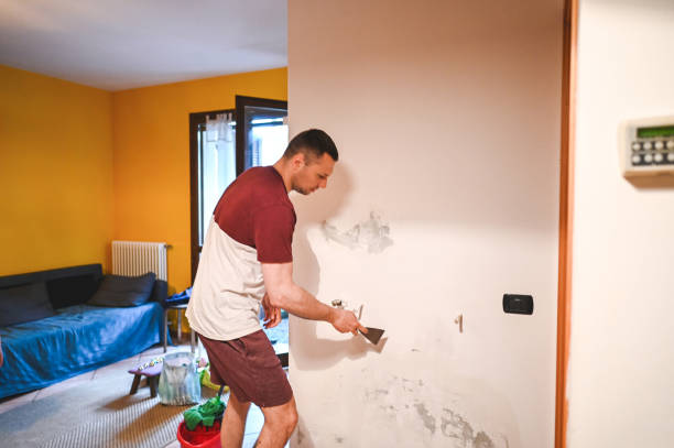 Best Black Mold Removal  in Verdigris, OK