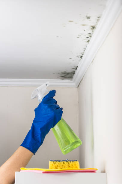 Best Crawl Space Mold Removal  in Verdigris, OK